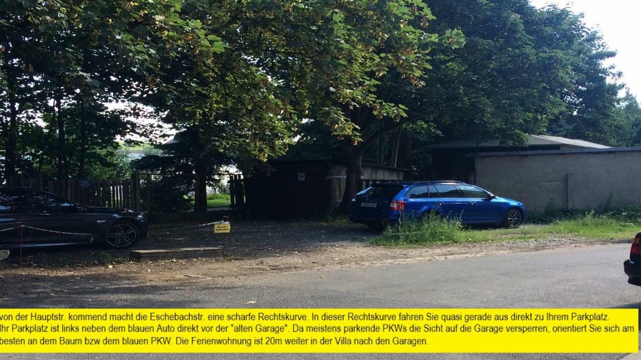 Villa Eschebach - Ferienwohnung Dresden Exteriör bild